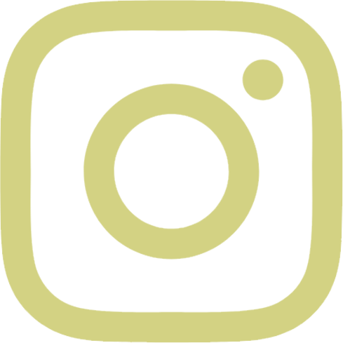Instagram header icon